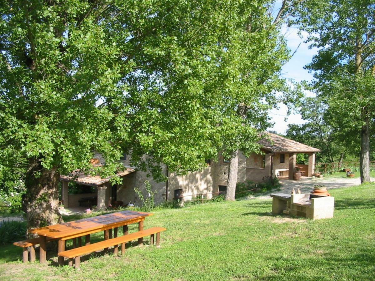 Agriturismo Frallarenza Ficulle Exterior photo